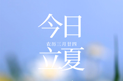 日高蟬鳴春意遠(yuǎn)，萬物初壯始立夏-浙江元金包裝有限公司